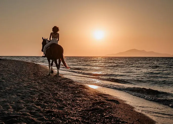 מלון Meni & Tigaki